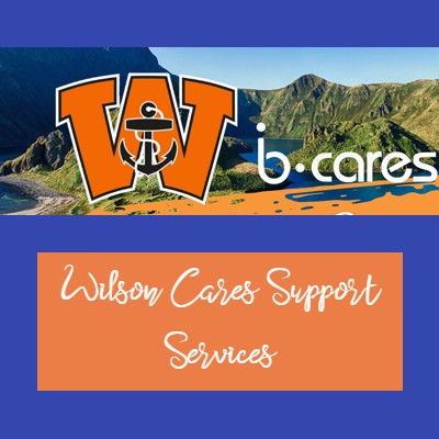 Wilson Cares Support Services